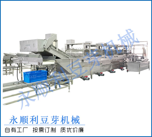 大型綠豆芽去殼清洗機
